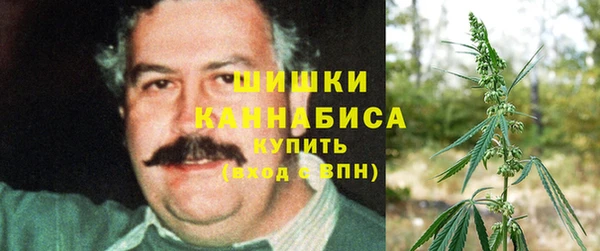 мескалин Мегион